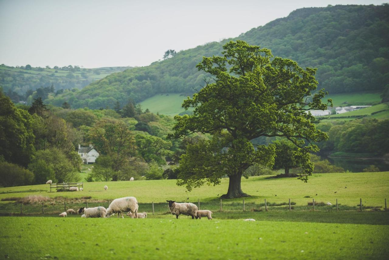 Caer Rhun Hall Hotel Conwy Eksteriør bilde
